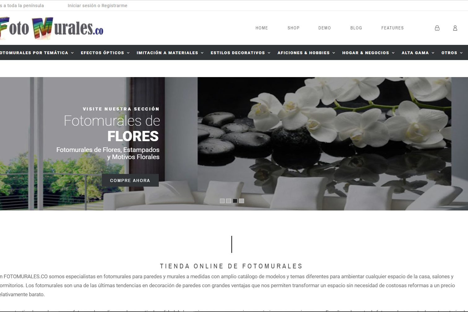 Diseño web
