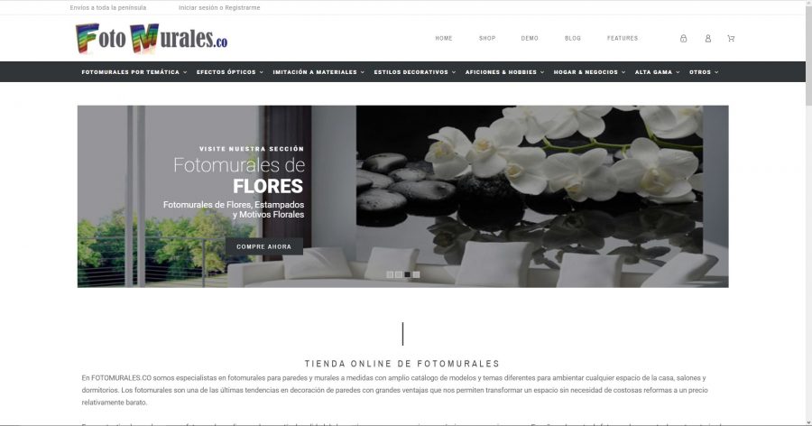Diseño web